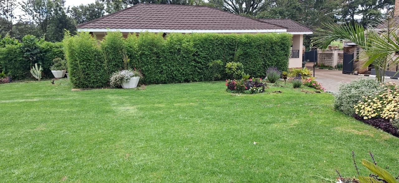 Shinyanga Urban Gardens & Design